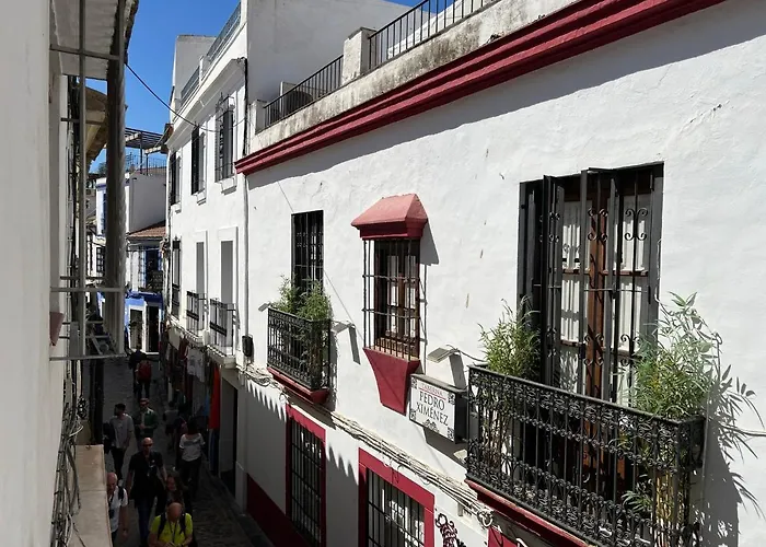 Apartamento Los Califas A 100m De La Catedral