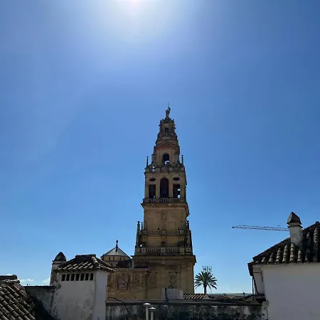 Διαμέρισμα Apartamento Los Califas A 100m De La Catedral